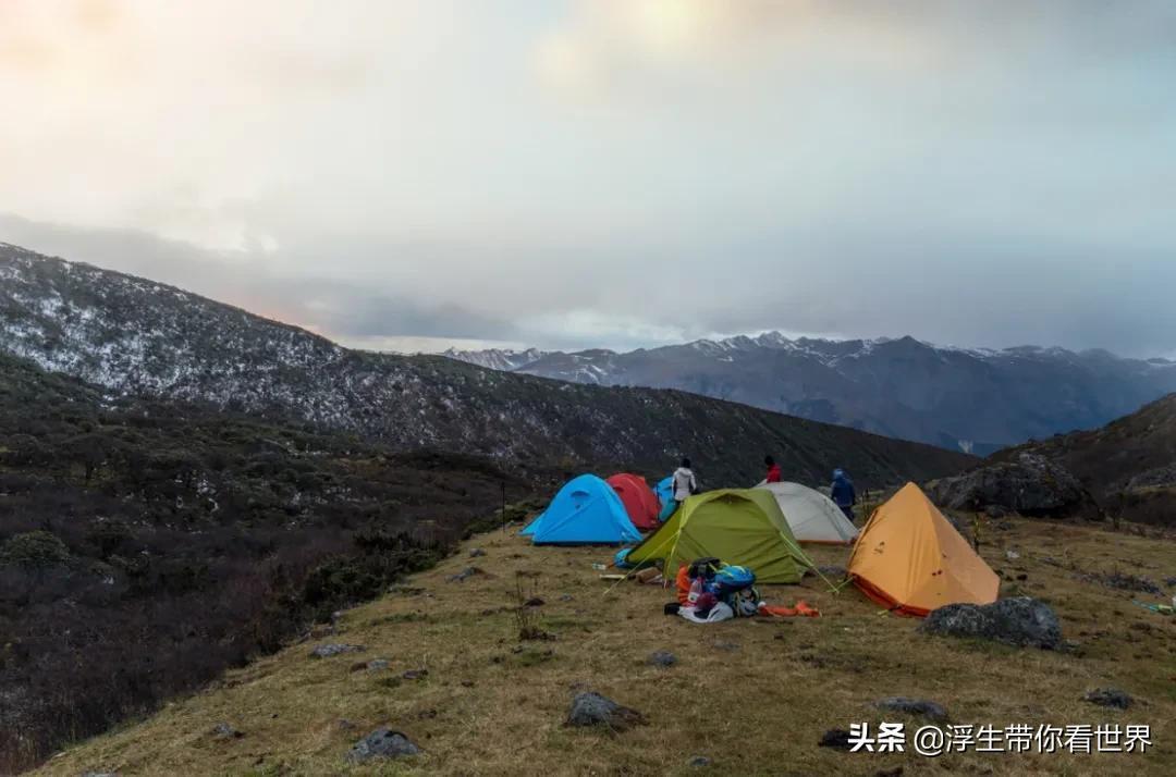 (团队中最不受欢迎的四种人)(公司最不受欢迎的四种人)