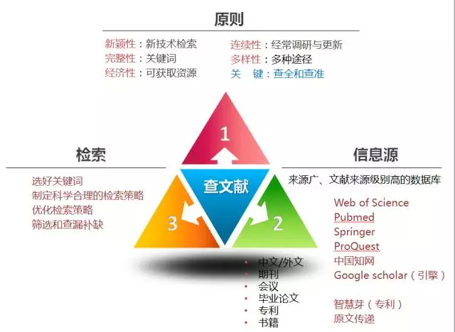 (文献解读的汇报ppt)(文献阅读汇报范文)