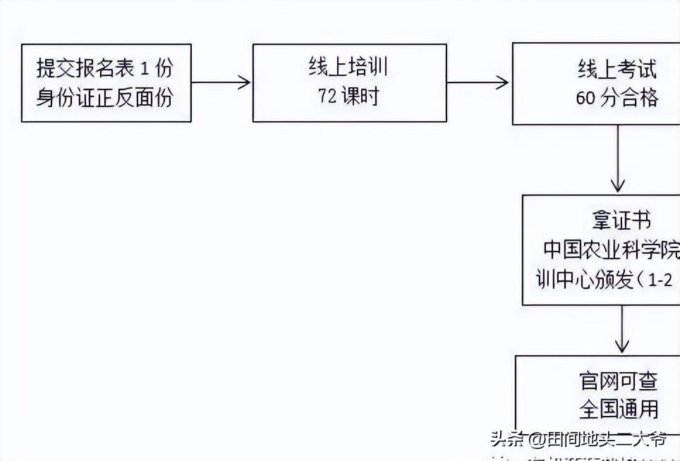 (适合55岁女人考的证书)(55岁退休了考什么证书最实用)