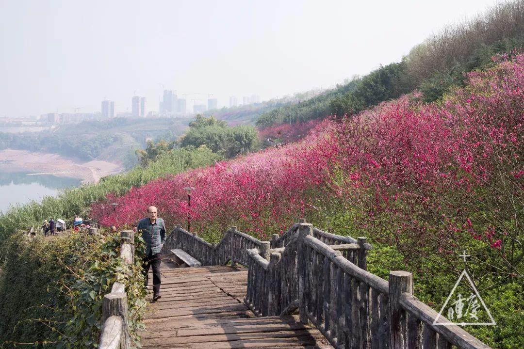 (小洋人动画片全集)(小洋人卡通图片)