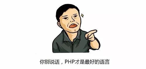 (php是世界上最好的语言)(php是什么)