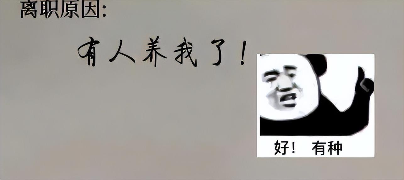 (个人原因辞职信简短30字)(个人原因辞职信30字怎么写?)