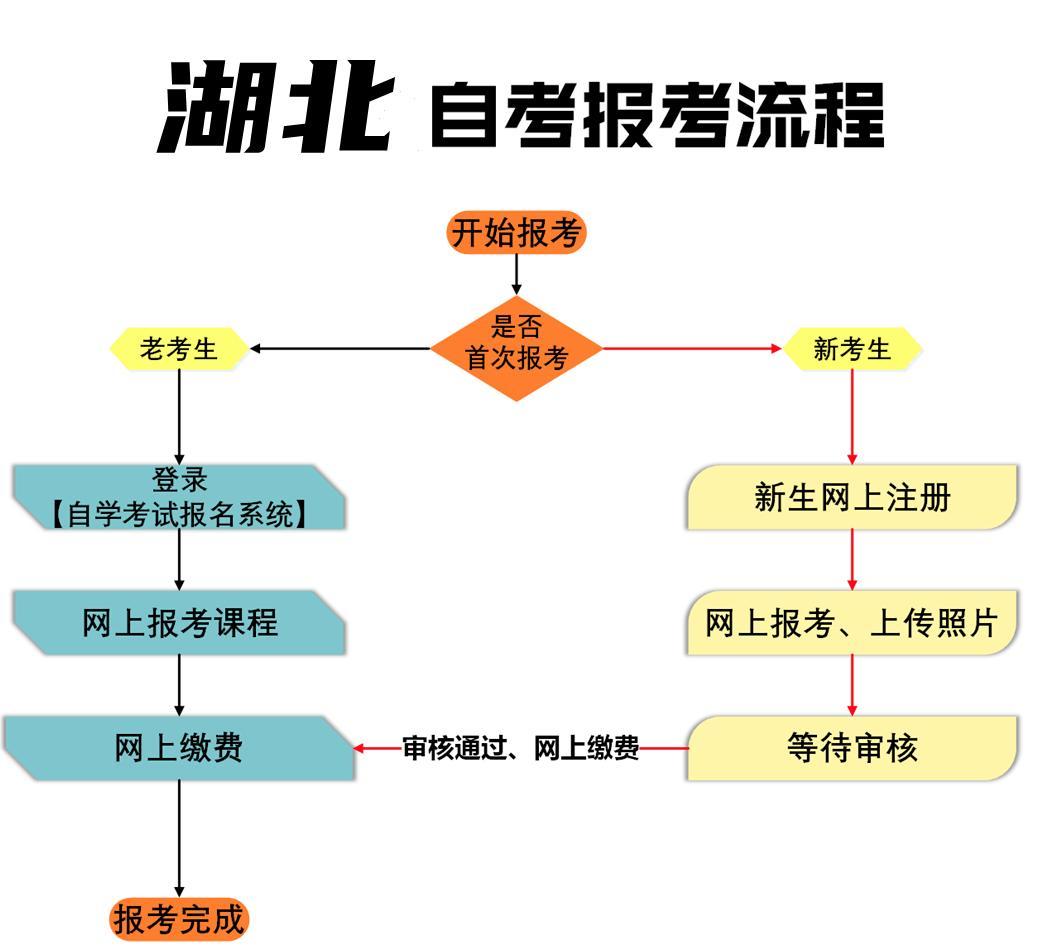 (怎么自考本科)(专科自考本科的流程)