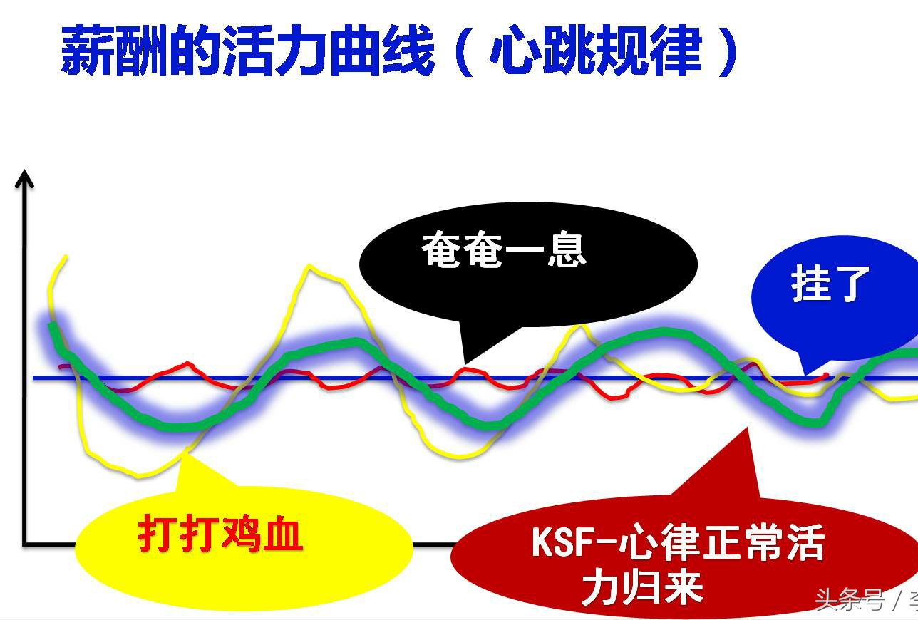 (管理学op和ip是什么意思)(企业管理ip是什么意思)