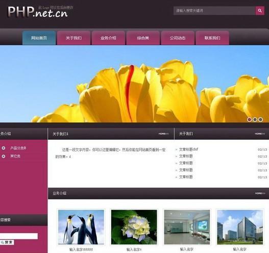 (php用哪种服务器)(php用什么做服务器)