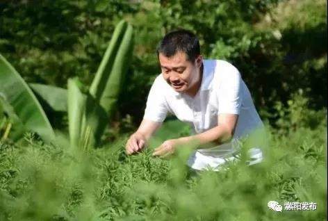 (张雪峰谈远程网络本科)(张雪峰谈大学本科与专科的区别)