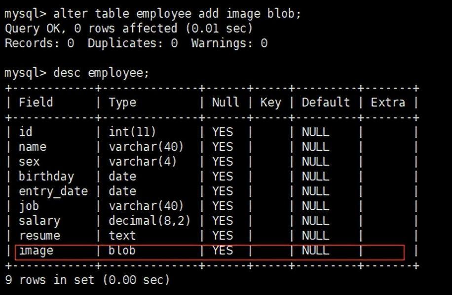 (mysql数据库实用操作)(mysql数据库基本操作)