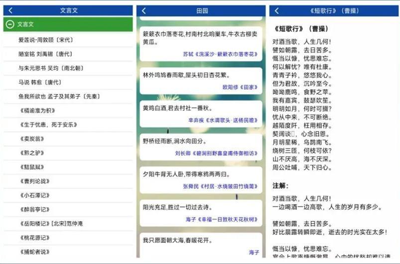 (少儿自学编程的app)(核桃少儿编程课app)