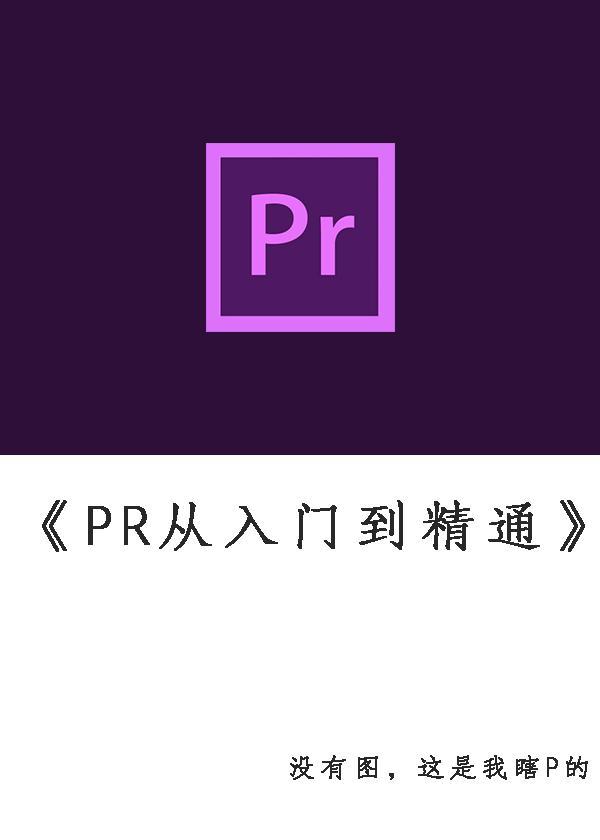 (pr入门到精通60节免费)(pr入门到精通的书籍)