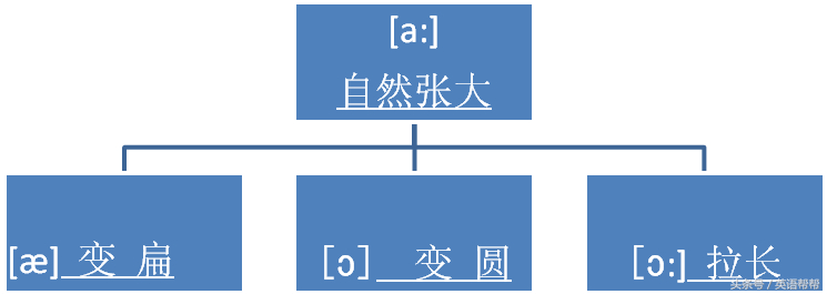 (presentation中文意思)(如何做好presentation)