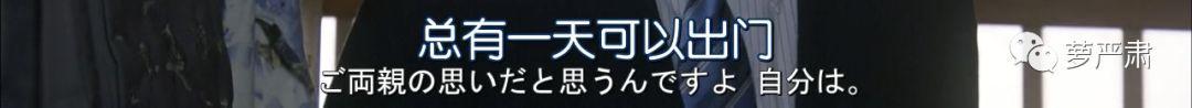 (职场42集完整版)(职场电视剧演员表)