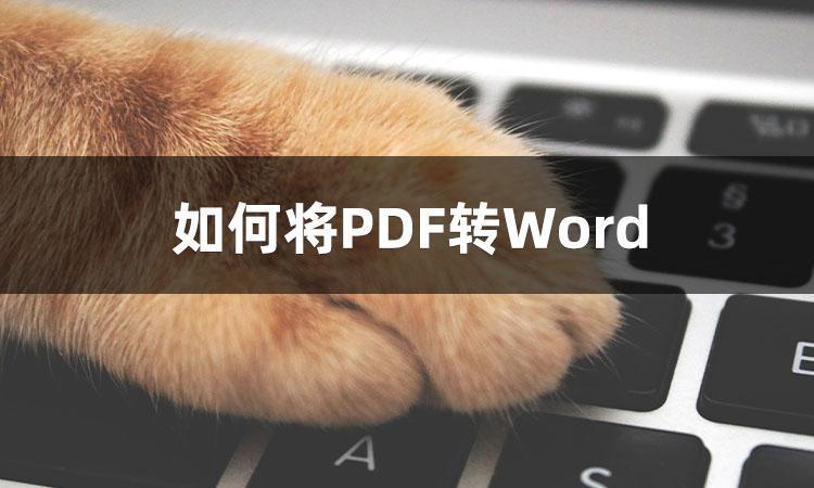 (pdf怎么转word)(pdf怎么转word不花钱)