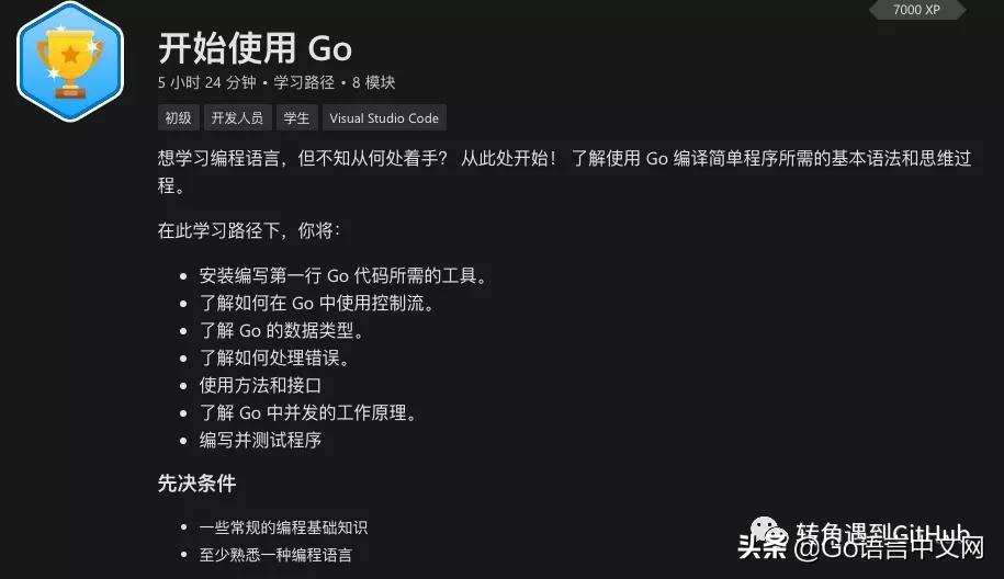 (go语言开发门户网站)(go语言编写的网站)