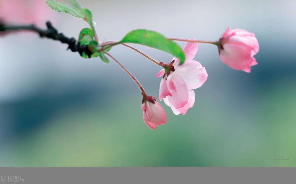 (领导看不起你的表现)(领导看不起你的表现老梁)