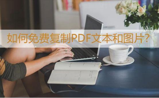 (付费的pdf怎么下载)(如何下载收费pdf)