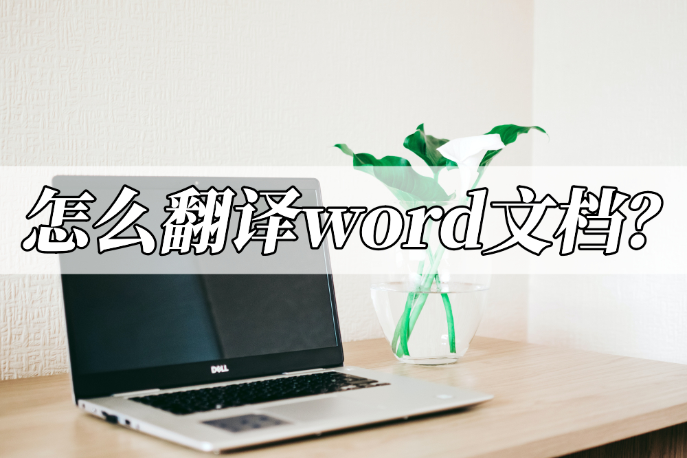 (word意思中文翻译)(word的中文翻译)