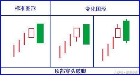 (c语言万能口诀)(c语言每日口诀)