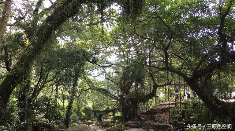 (风景视频素材)(风景视频素材3到5分钟)