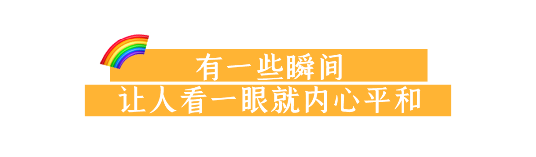 (letitgo表达的情感)(let go表达了什么)