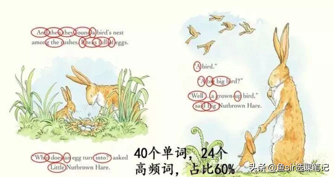 (sightwords是什么意思)(sight words100词)