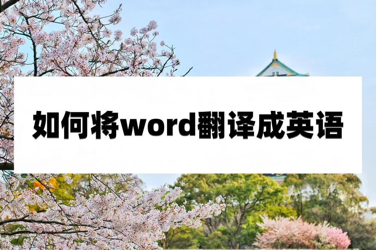 (world翻译成中文叫什么)(word文档翻译中文)