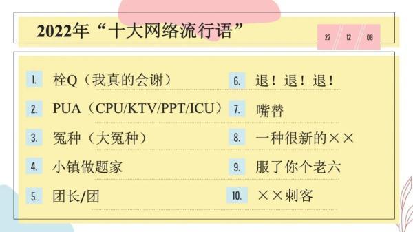 (网络用语ppt啥意思)(网络流行词汇ppt什么意思)