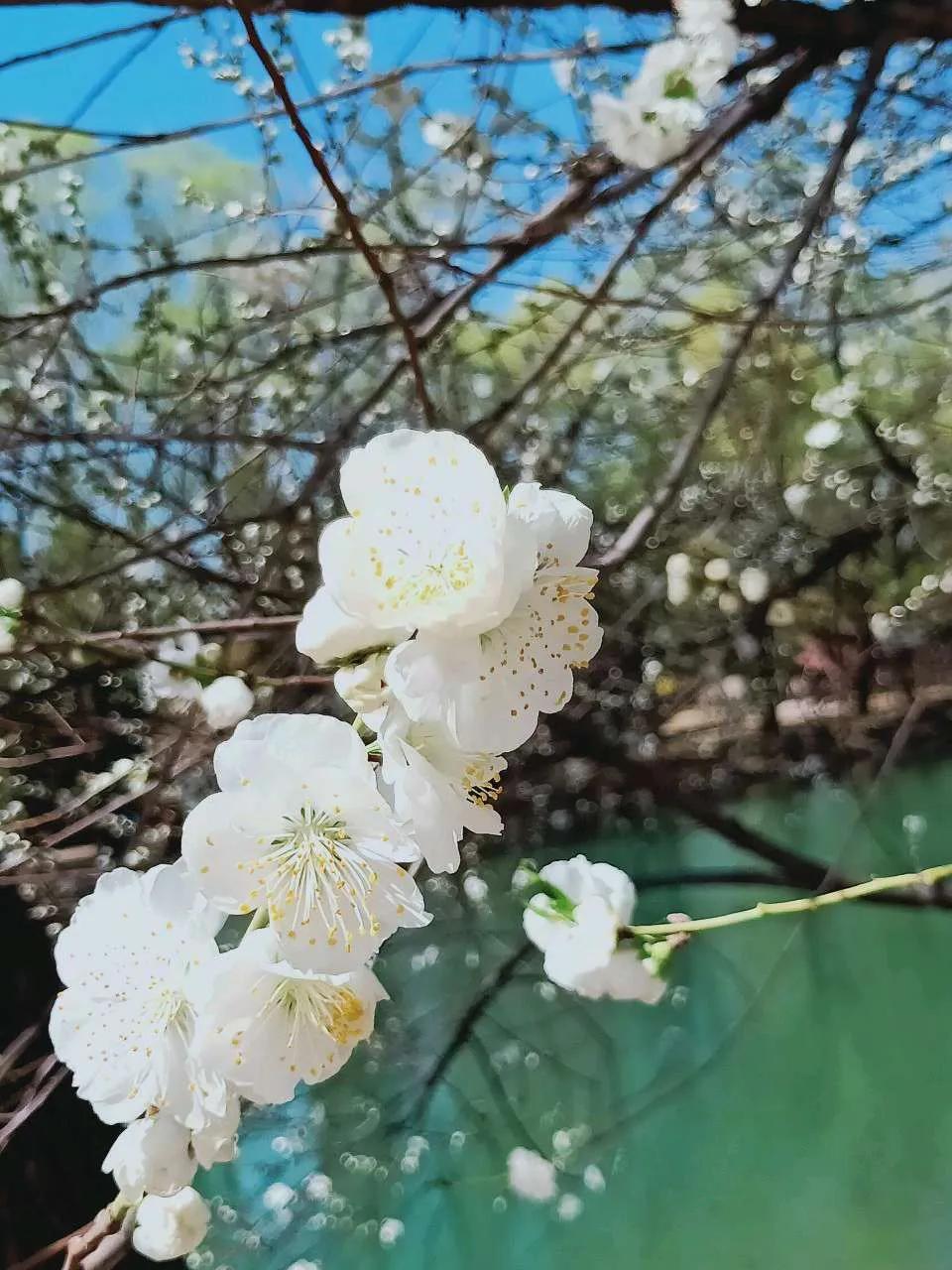 (生存法则精辟句子)(生存法则经典语录)