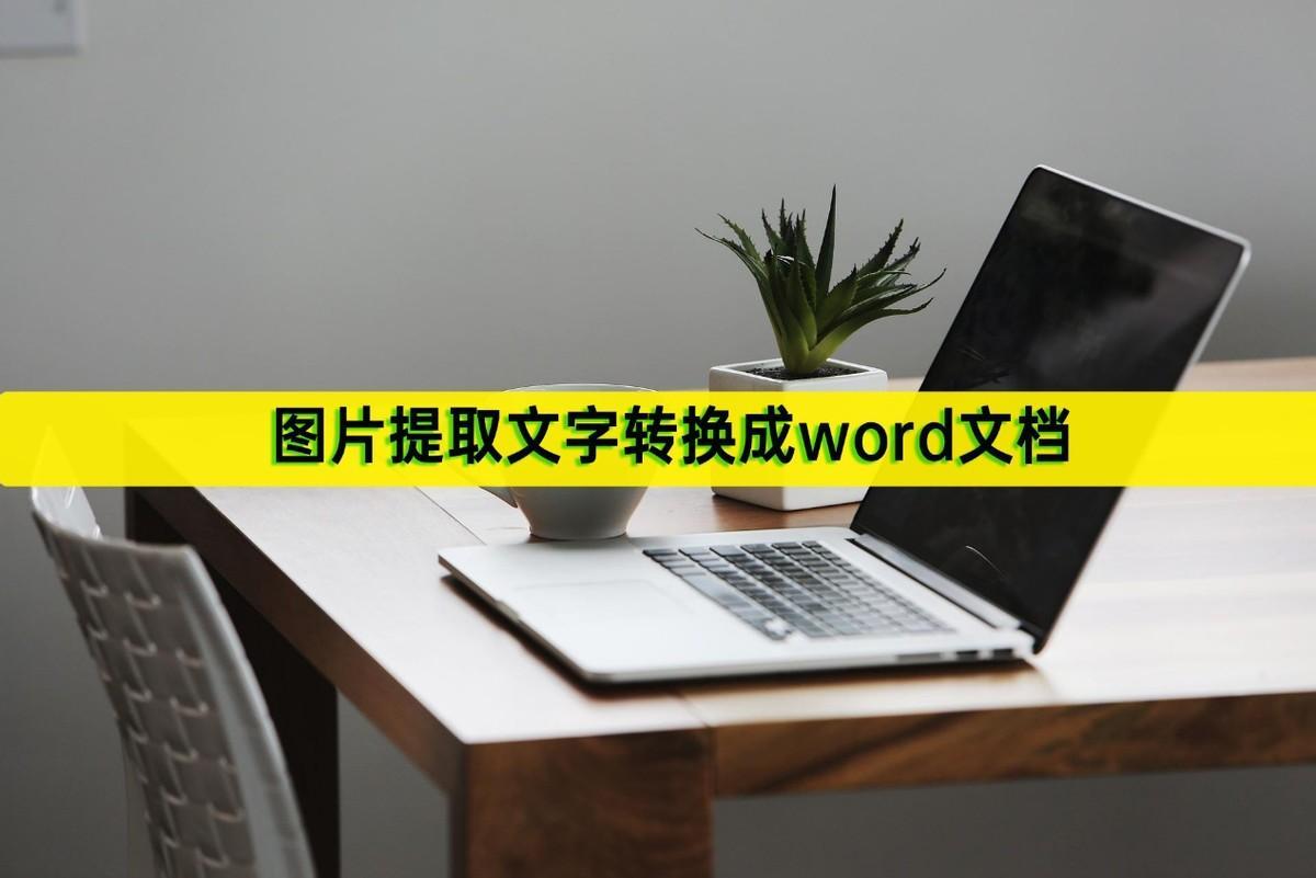 (图片文字识别提取word)(图片文字识别提取app)