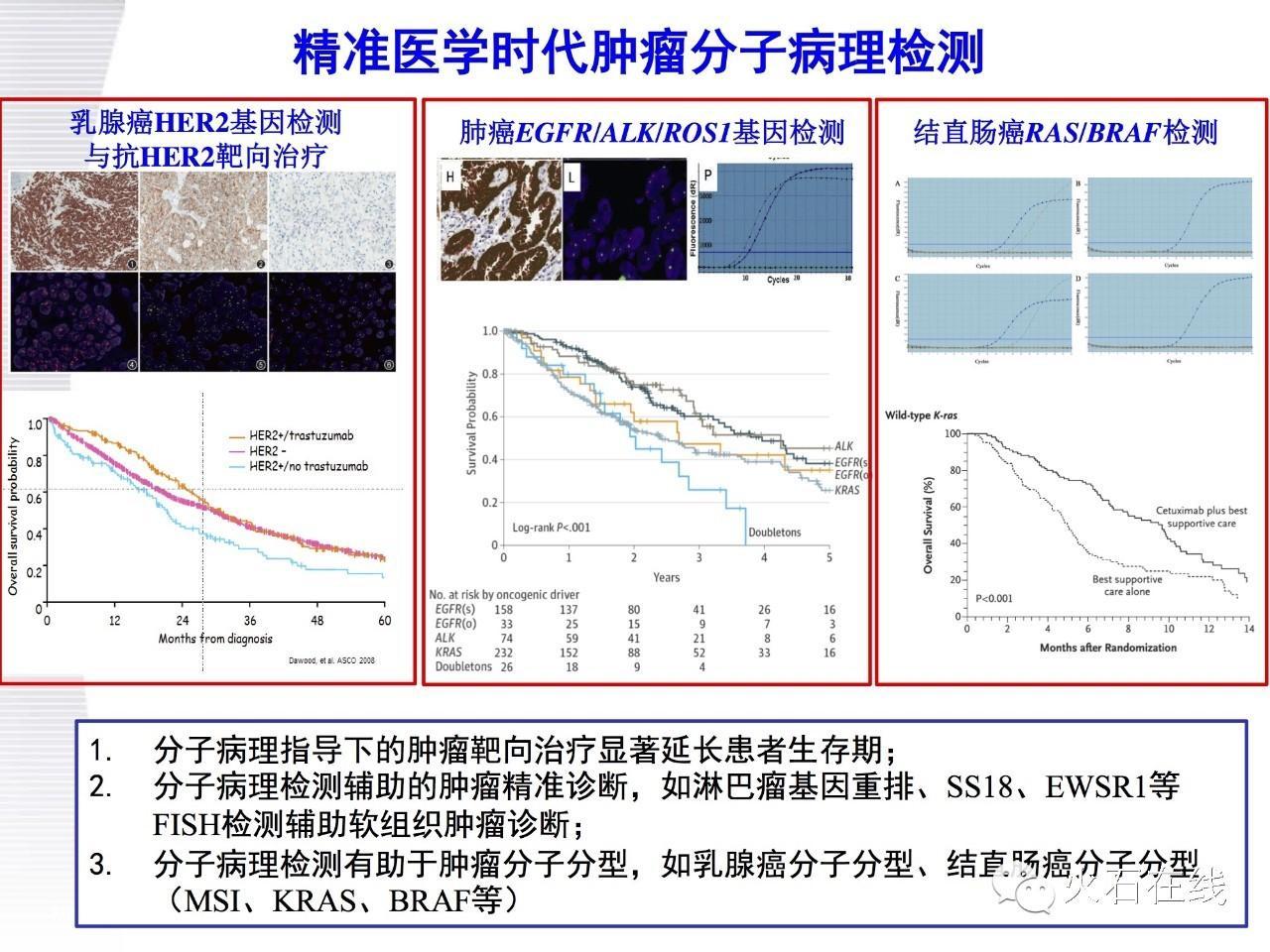 (医学文献汇报ppt)(文献汇报ppt思路)