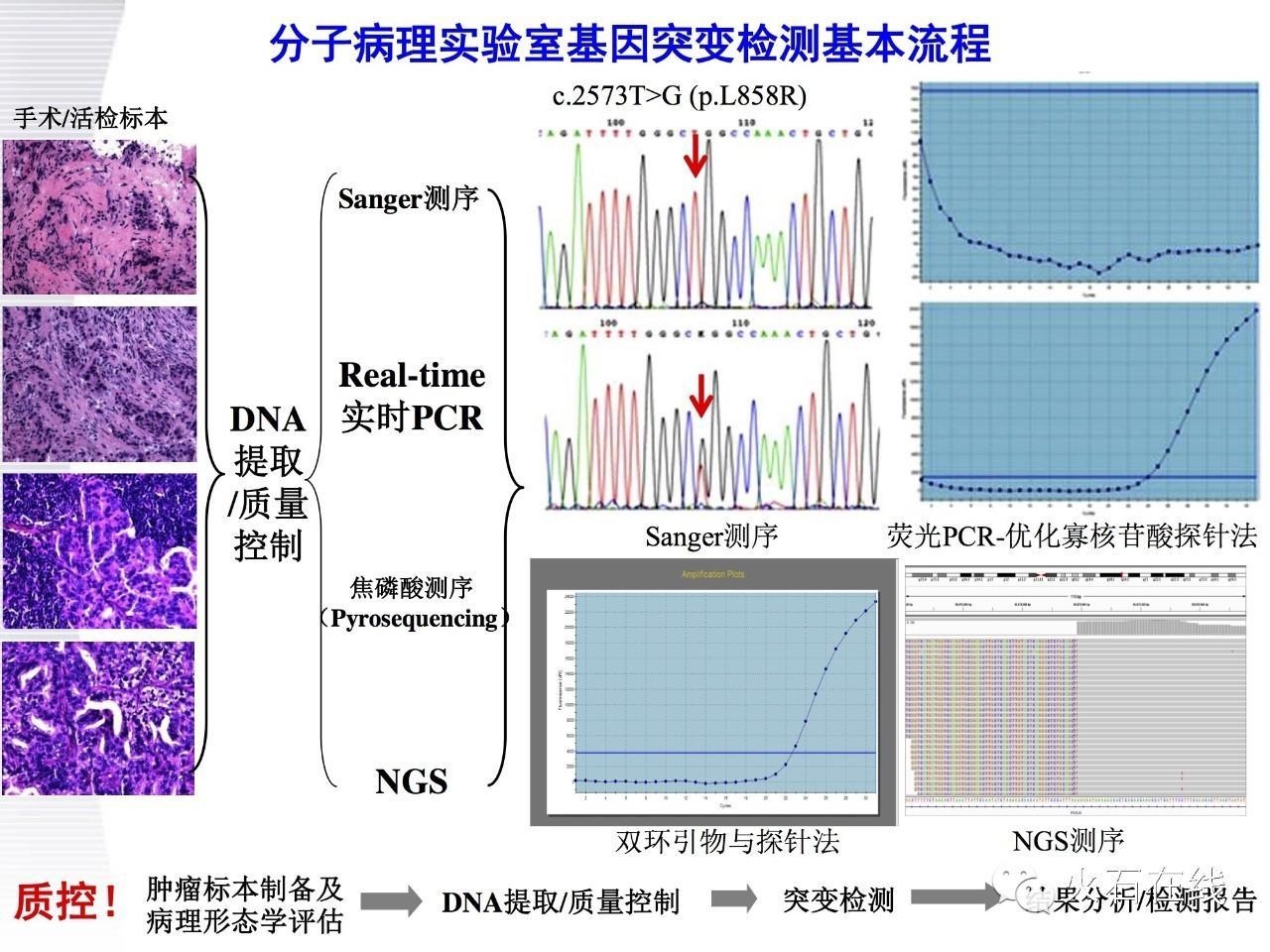 (医学文献汇报ppt)(文献汇报ppt思路)