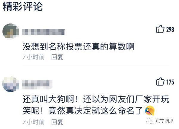 (gogogo表达什么意思)(gogogo什么意思中文翻译)