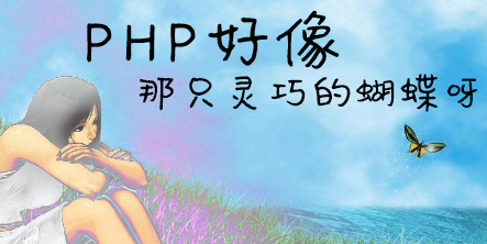 (php美元符号怎么打出来)(php美元写法)