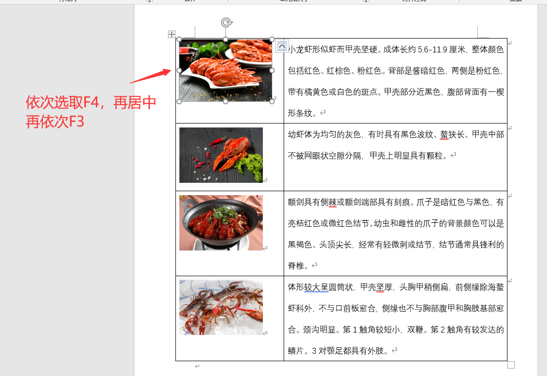 (文档排版布局)(文档排版布局技巧多排变一排)