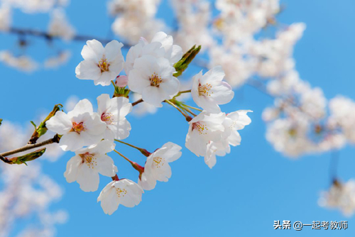 (初中学历的宝妈适合考什么证)(初中没毕业可以自考什么学历)