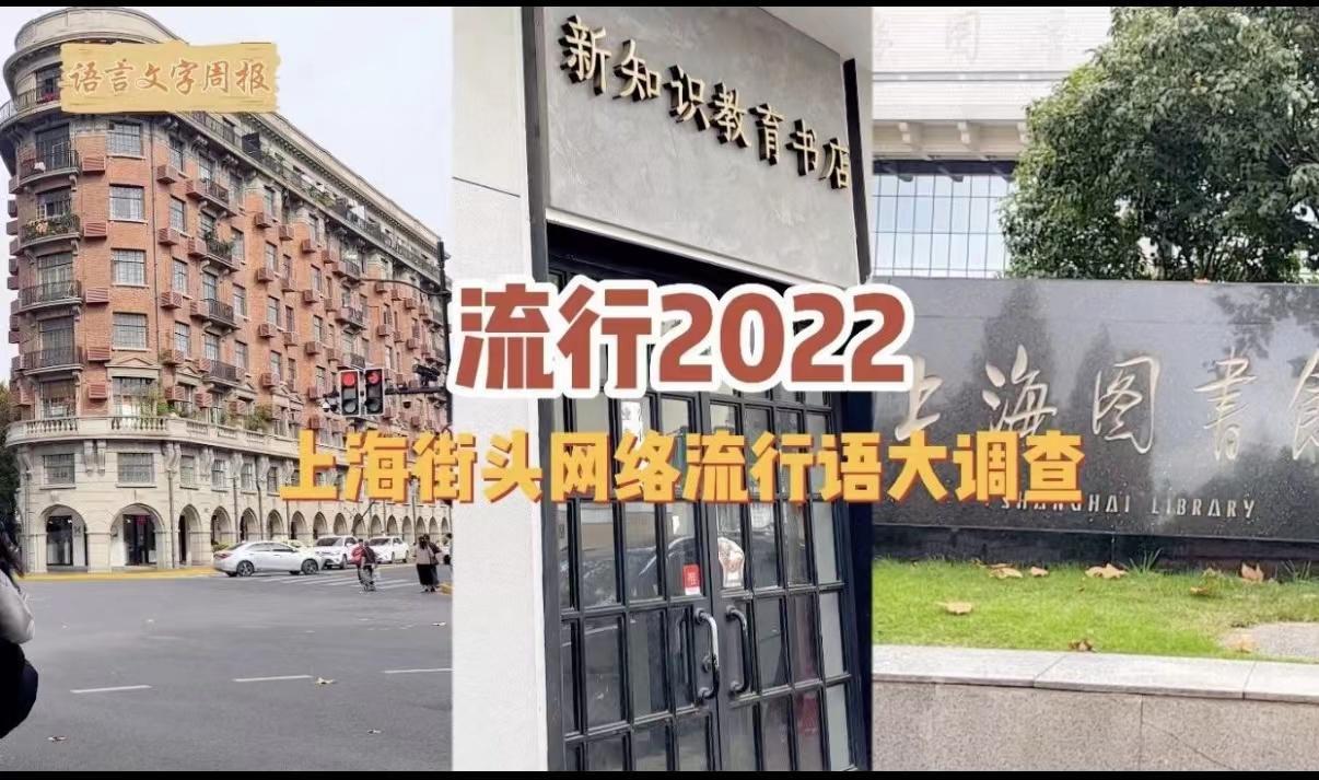 (ppt是什么意思网络词)(ppt啥意思网络语)