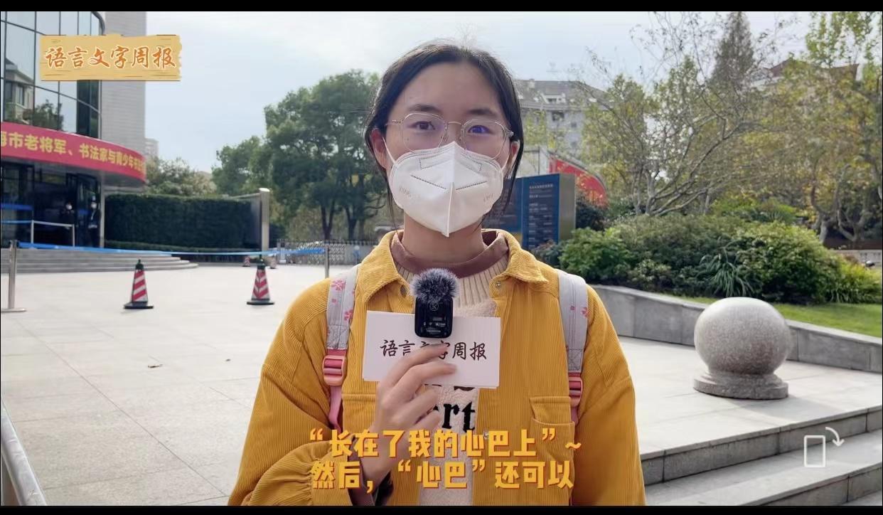 (ppt是什么意思网络词)(ppt啥意思网络语)