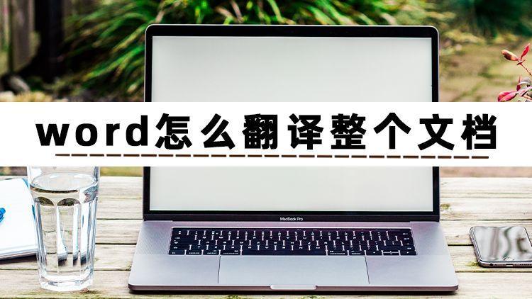 (word文档)(word文档怎么加页码)