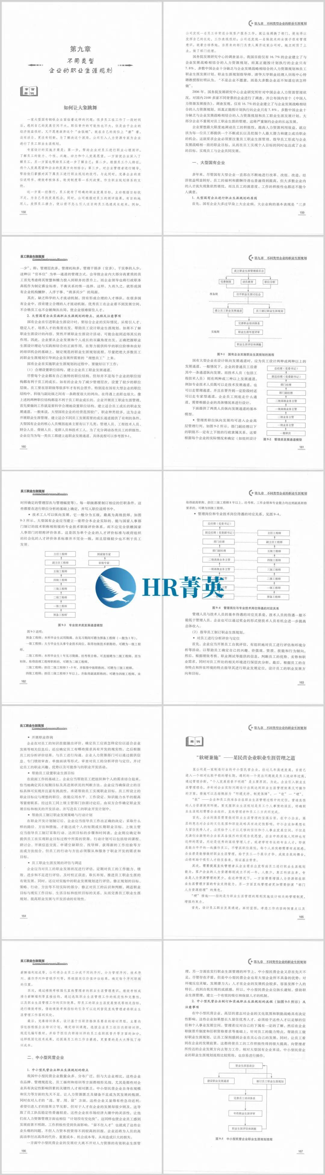 (职业规划)(职业规划面试怎么回答)