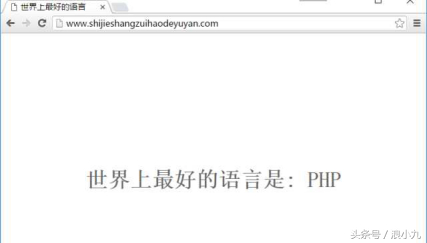 (php代码运行在什么端)(php运行python代码)