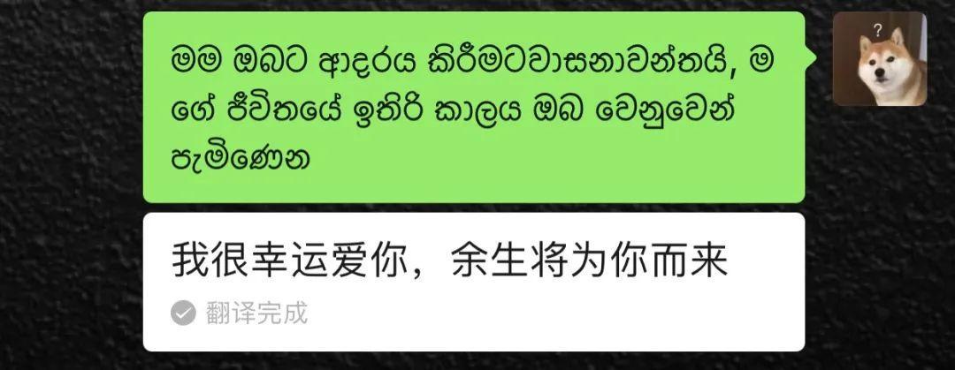 (10个简单有趣代码)(有趣的代码编程)