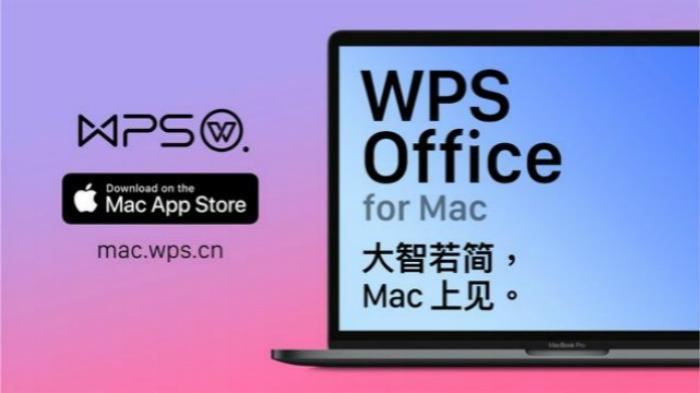 (稻壳和wps有什么区别)(稻壳wps全套教程免费)