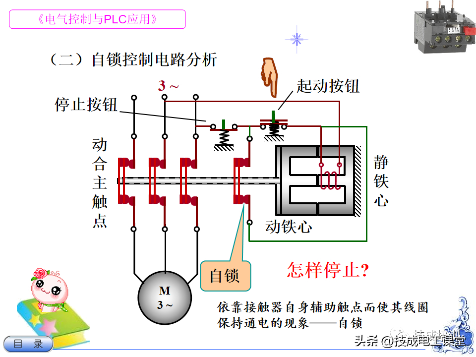 (ppt从入门到精通)(ppt排版布局)