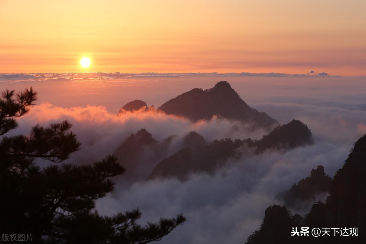 (抖音蔡老师养发是真的吗)(抖音蔡老师是什么)