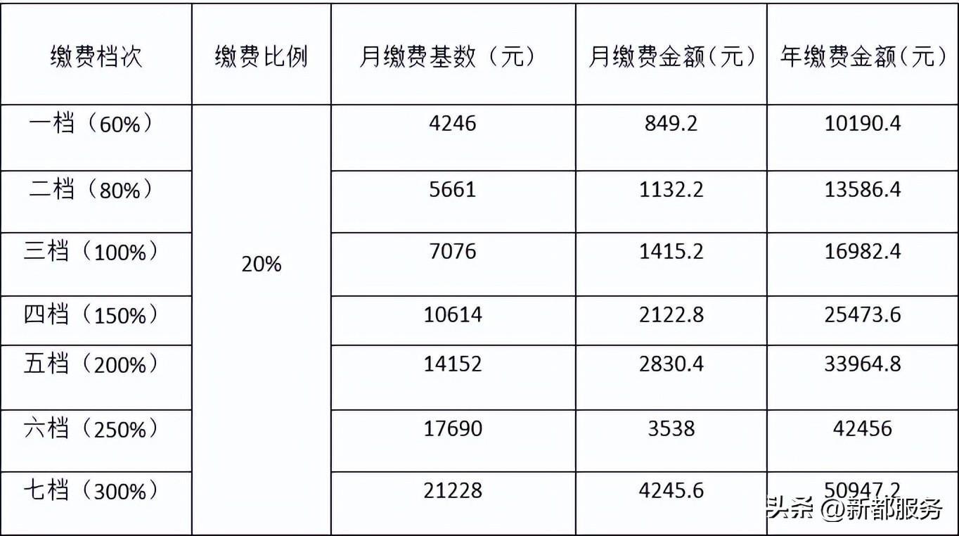 (办公室文员常做的表格)(办公室文员常做的表格都有哪些)