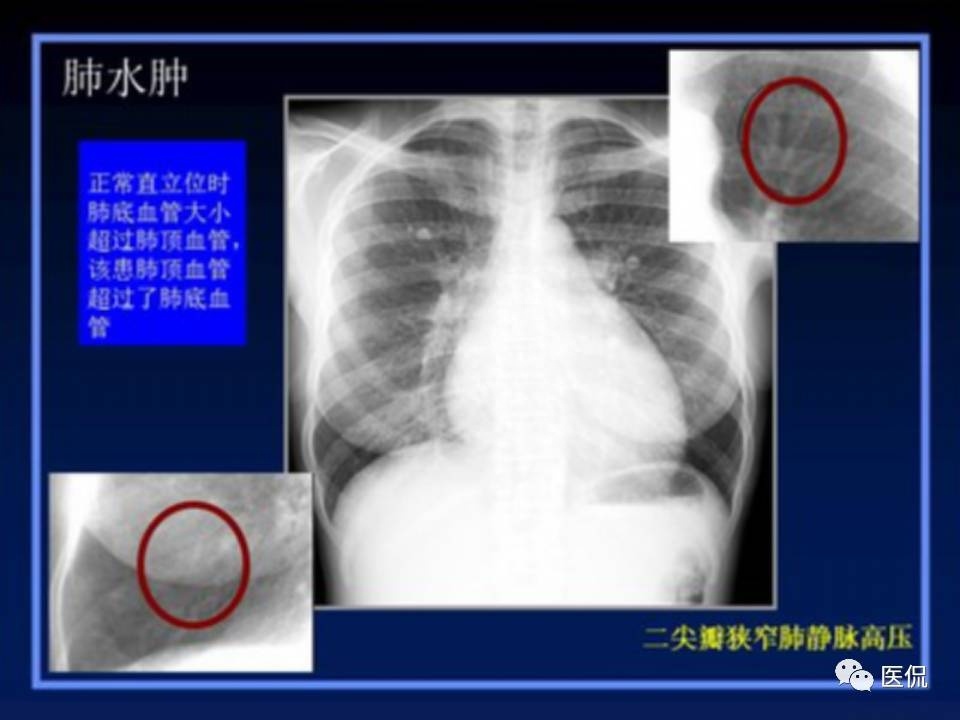 (医学ppt课件大全)(医学ppt模板免费)