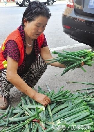 (小蔡教书日记全家都是老师)(小蔡老师教书日记小视频)