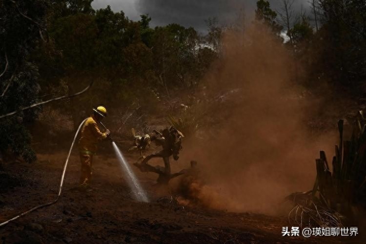 (美国禁止工业软件后果)(美国限制中国工业软件了吗)