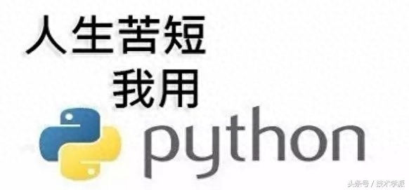 (python零基础入门教程)(python零基础入门教程ipad版)