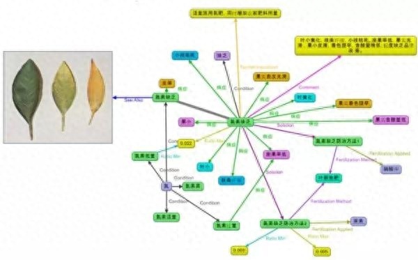 (知识图谱开源框架选型)(知识图谱开源可视化构建工具)