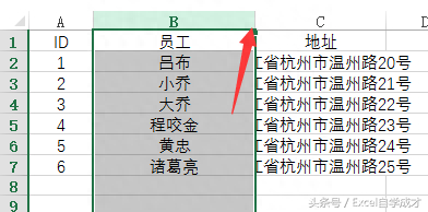 (行高列宽在哪里设置)(怎样调整行高和列宽)